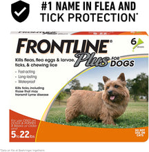 Load image into Gallery viewer, Frontline Plus Flea and Tick Treatment for Dogs 6 Month Small Dog 5-22 Pounds
