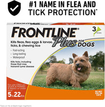 Load image into Gallery viewer, Frontline Plus Flea and Tick Treatment for Dogs 3 Month Small Dog 5-22 Pounds
