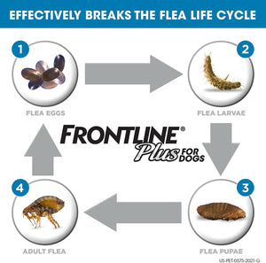 Frontline Plus Flea and Tick Treatment for Dogs 6 Month Medium Dog 23-44 Pounds